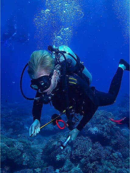 diving-box diving-box